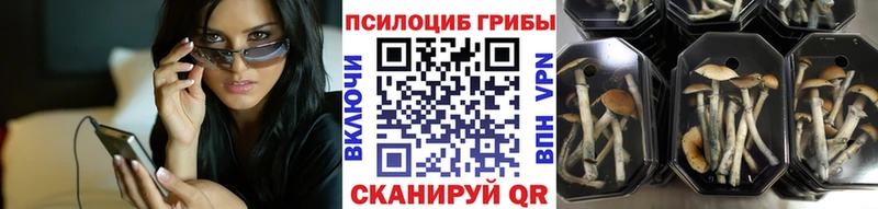 закладки Артёмовск Галлюциногенные грибы мухоморы